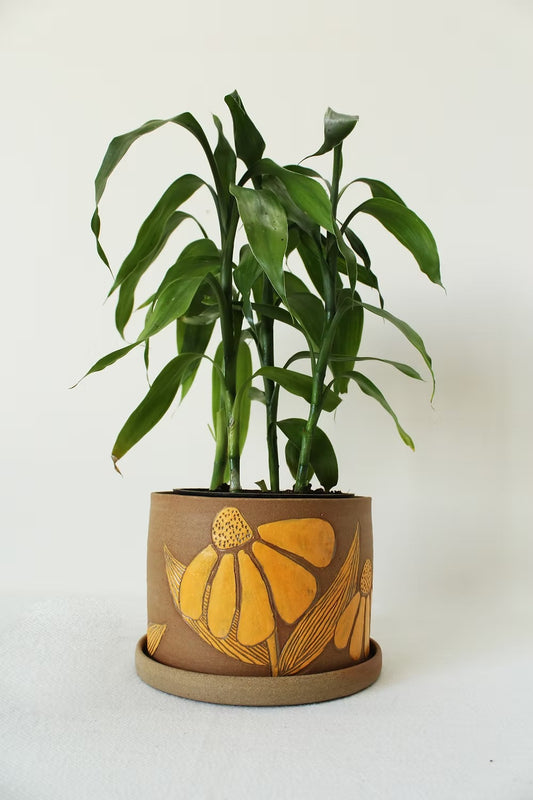 Earthy Bloom Tangerine Planter